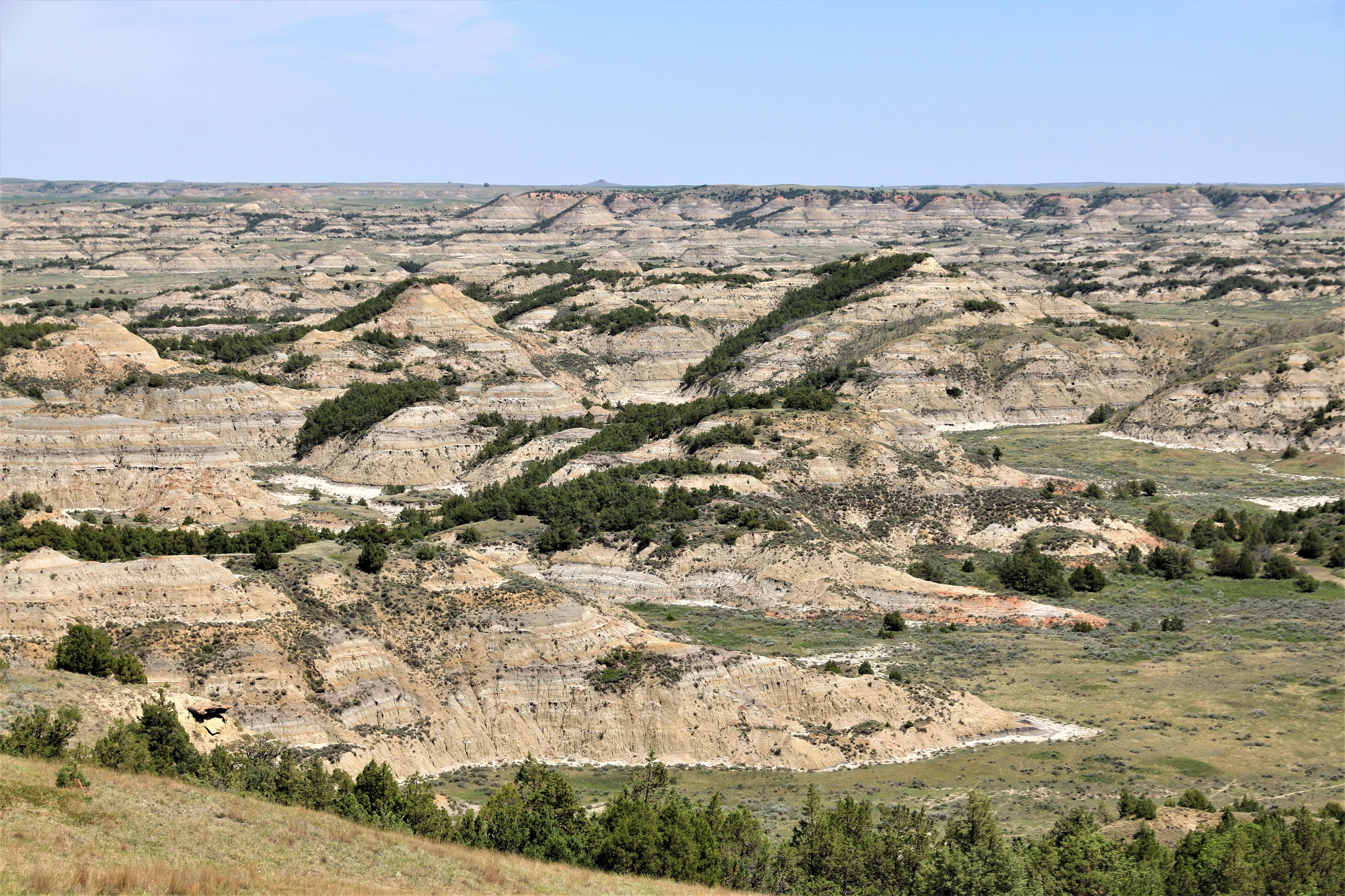 Theodore Roosevelt NP